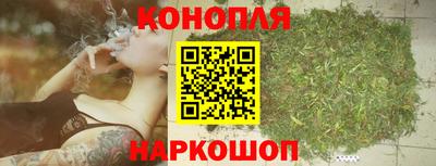 крисы Апшеронск
