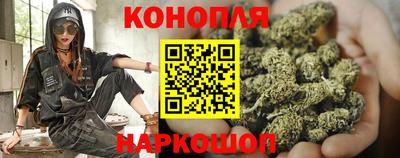 крисы Апшеронск