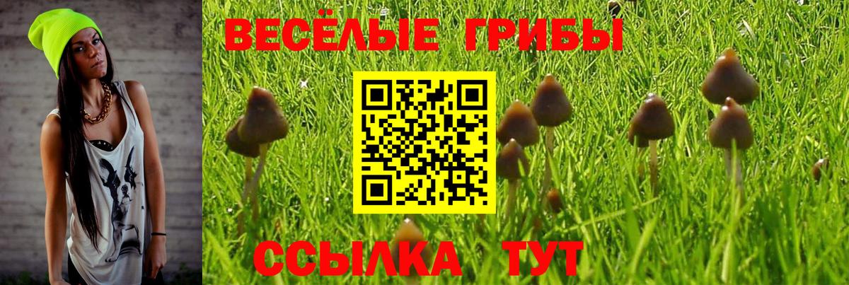 Воткинск  Галлюциногенные грибы мухоморы  Вход с VPN 